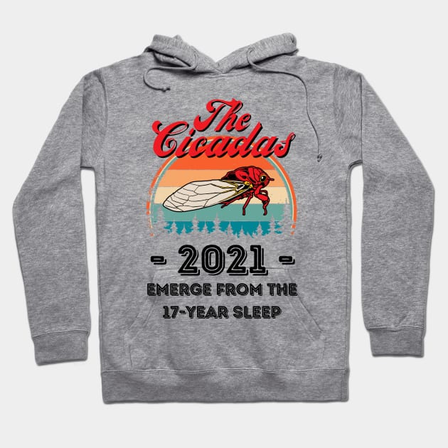 The Cicadas 2021 Emerge From The 17-Year Sleep, Funny Cicada Lover Hoodie by JustBeSatisfied